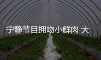 寧靜節(jié)目擁吻小鮮肉 大膽示愛：你愿意等我嗎？