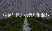 寧萌與何之雋第幾集舉辦婚禮