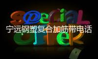 寧遠鋼塑復合加筋帶電話