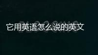 它用英語怎么說的英文 愚蠢用英語怎么說
