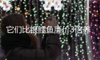 它們比銀鱈魚廉價3倍養分一點都不輸