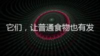 它們，讓普通食物也有發酵香