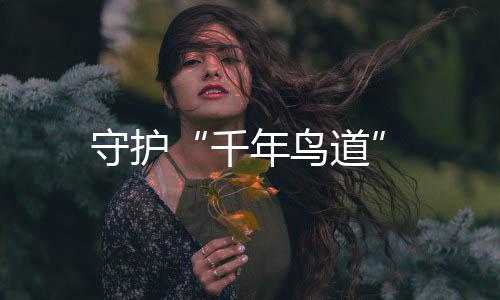 守護“千年鳥道”