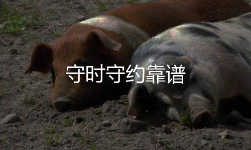守時守約靠譜