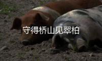 守得橋山見翠柏