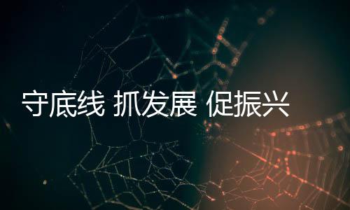 守底線 抓發(fā)展 促振興_