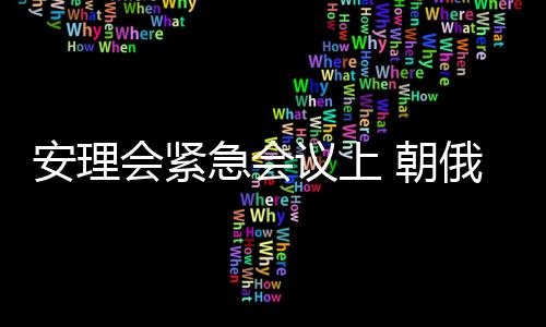 安理會緊急會議上 朝俄與美當(dāng)面起沖突！