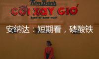 安納達：短期看，磷酸鐵價格行情暫穩(wěn)
