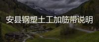 安縣鋼塑土工加筋帶說明