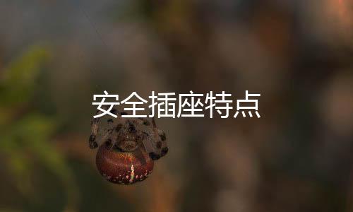 安全插座特點