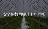 安全指數(shù)再提升！廣西柳州市化妝品年度“體檢”收官