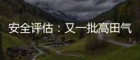 安全評估：又一批高田氣囊面臨大規模召回