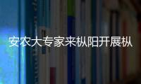 安農大專家來樅陽開展樅陽黑豬屠宰測定