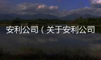 安利公司（關于安利公司的基本情況說明介紹）
