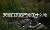 安吉白茶的產地在什么地方