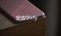 安吉爾xfy