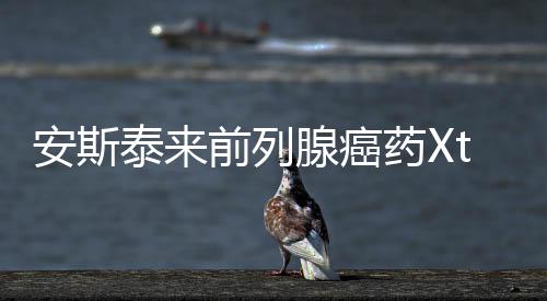 安斯泰來前列腺癌藥Xtandi獲MHRA批準