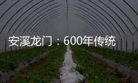 安溪龍門：600年傳統習俗 “賽大豬”慶元宵