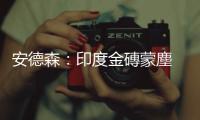 安德森：印度金磚蒙塵　後市中間偏多｜天下雜誌