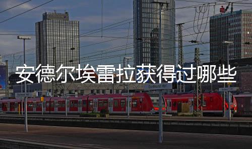 安德爾埃雷拉獲得過哪些榮譽？安德爾埃雷拉獲獎記錄介紹