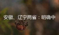 安徽、遼寧兩?。好鞔_中藥配方顆粒標(biāo)準(zhǔn)制訂要求