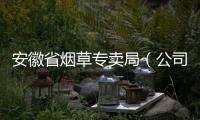 安徽省煙草專賣局（公司）到華環(huán)公司開展綜合評審_
