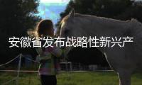 安徽省發(fā)布戰(zhàn)略性新興產(chǎn)業(yè)“半年報”