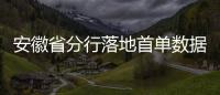 安徽省分行落地首單數據知識產權質押融資