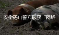 安徽碭山警方破獲“網(wǎng)絡(luò)水軍”案 涉案900余萬(wàn)元