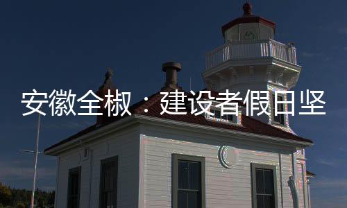 安徽全椒：建設者假日堅守崗位 重點工程加速度_