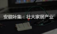 安徽葉集：壯大家居產業集團軍 打響“葉集智造”