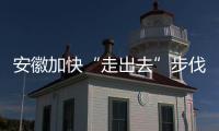 安徽加快“走出去”步伐 17家企業申請設立境外機構