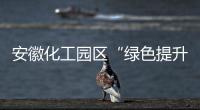 安徽化工園區(qū)“綠色提升行動(dòng)”扎實(shí)推進(jìn)_