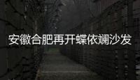 安徽合肥再開蝶依斕沙發第二店