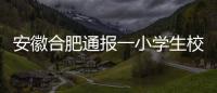安徽合肥通報一小學生校內死亡：學校負責人停職