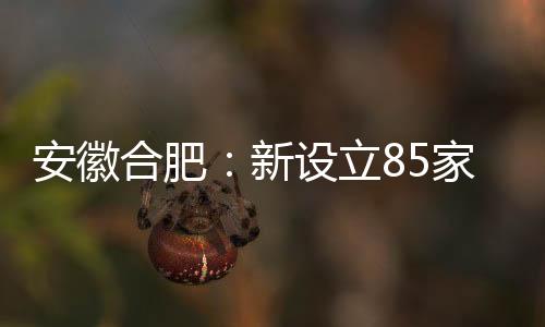 安徽合肥：新設(shè)立85家消費(fèi)維權(quán)服務(wù)站