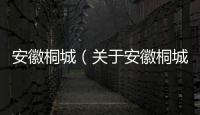 安徽桐城（關(guān)于安徽桐城的基本情況說明介紹）