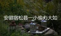 安徽宿松縣一小偷力大如牛 一夜扛走萬斤水泥