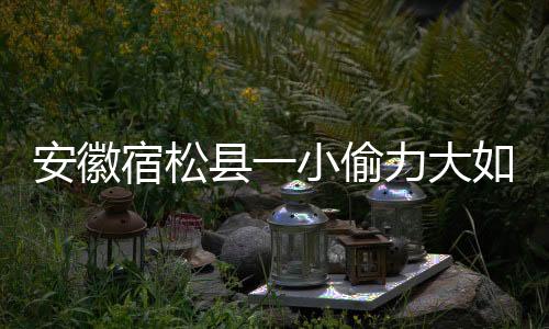 安徽宿松縣一小偷力大如牛 一夜扛走萬斤水泥