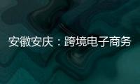 安徽安慶：跨境電子商務助推外貿(mào)行業(yè)轉型升級