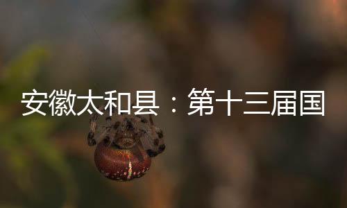 安徽太和縣：第十三屆國內華藥會開幕