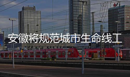 安徽將規范城市生命線工程設備管理_
