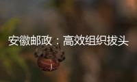 安徽郵政：高效組織拔頭籌