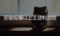 安徽規模以上工業利潤增速全國居前