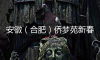 安徽（合肥）僑夢(mèng)苑新春復(fù)工忙