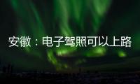 安徽：電子駕照可以上路通行了 開車只需帶一部手機