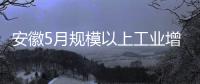 安徽5月規模以上工業增長8.2%%