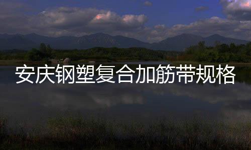 安慶鋼塑復(fù)合加筋帶規(guī)格齊全