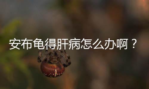 安布龜得肝病怎么辦啊？安布龜得肝病怎么辦能治好嗎
