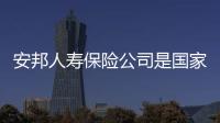 安邦人壽保險公司是國家正規的嗎（安邦人壽保險）